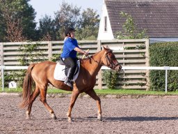 IMG_7110_web